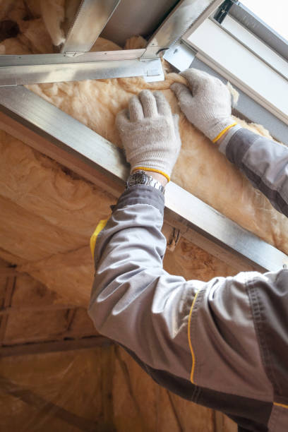 Best Home Insulation Services  in Macungie, PA