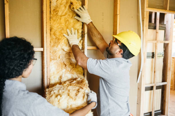 Best Energy-efficient Insulation  in Macungie, PA
